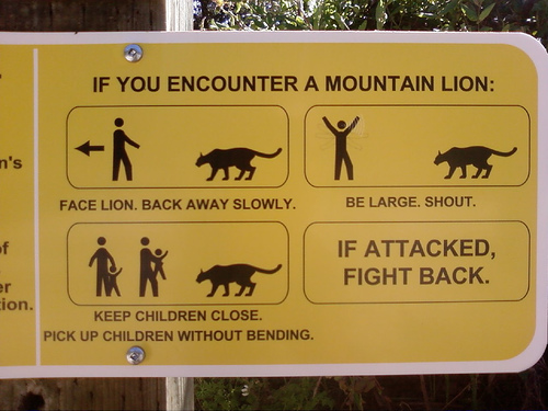 Mountain Lion Safety